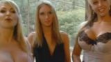 Sara Maglaughlin in The Breastford Wives (2007) (USA)